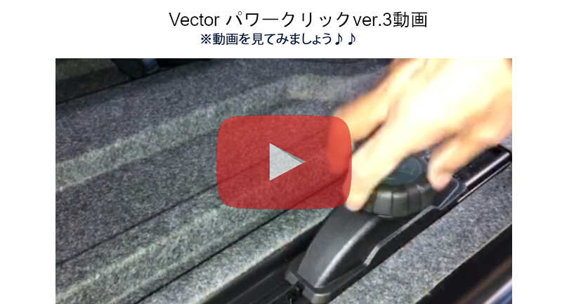 vector pw3